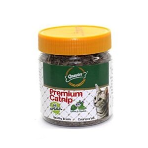Gnawlers Premium Catnip for Cat, Green, 30 g
