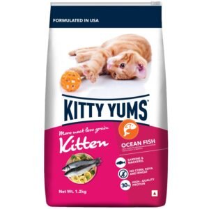 Kitty Yums Kitten(1-12 Months) Dry Cat Food, Ocean Fish