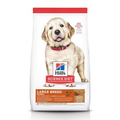 Hills Science Diet Puppy Large Breed, Lamb Meal & Rice Recipe Dry Dog Food