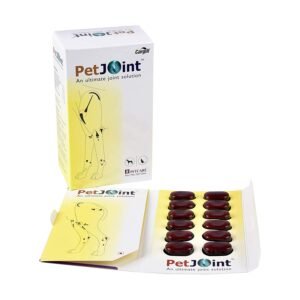 PetJoint Supplement Tablets 12 Tablets