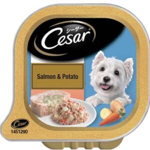 Cesar Salmon & Potato Adult Dog Wet Food 100gm