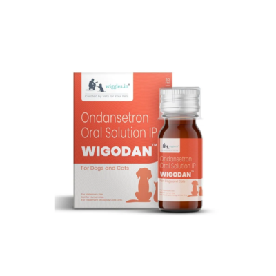 Wigodan Antiemetic Syrup 30ml