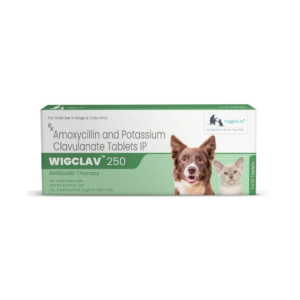Wigclav - 250 Antibiotic Tablets 10 Tablets