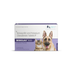Wiggles.in Wigclav - 500 Antibiotic Tablets For Dogs and Cats