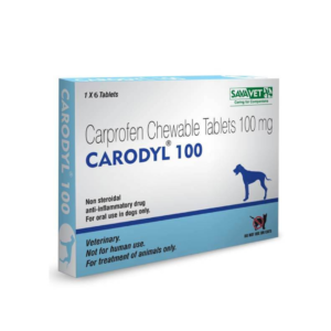 Sava Healthcare Carodyl 100 mg (6 tab)