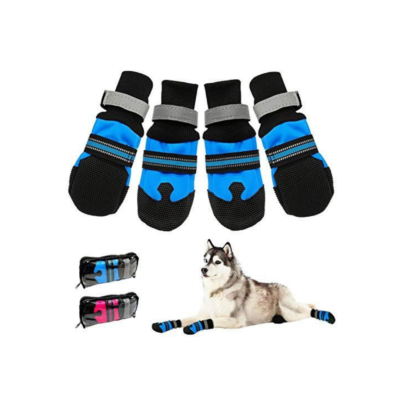 Pawsindia Walkers Blue