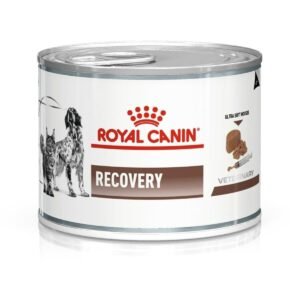 ROYAL CANIN RECOVERY CAN ADULT WET FOOD 195GM
